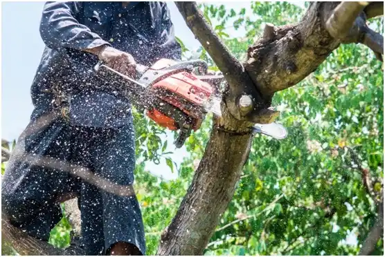 tree services West Richland